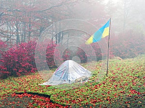 Tent backfilled yellow leaves