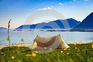 Tent on beach sea shore, Lofoten Norway