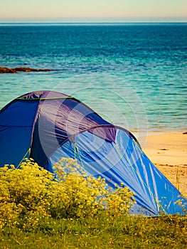 Tent on beach sea shore, Lofoten Norway