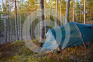 Tent camp in the forest