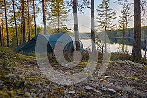 Tent camp in the forest