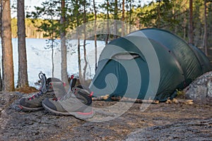 Tent camp in the forest