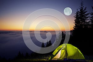 Tent Camping in a Forest photo