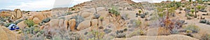 Tent Camping in Joshua Tree National Park - Panorama