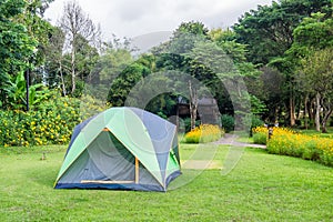 Tent camping relaxing on lawn backyard