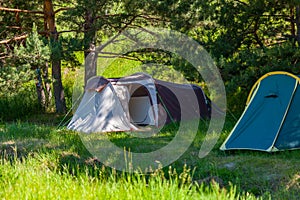 Tent camping in the shade of coniferous green trees on a sunny summer day. Extreme sports and outdoor recreation without people in