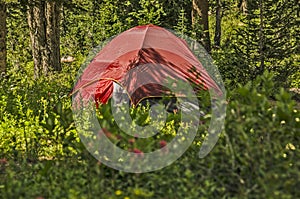 Tent Camping in Summer