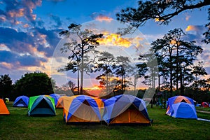 The tent camping on the at sunset on the Phukradueng Thailand