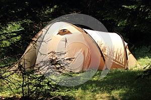 Una tenda foresta 