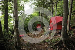 Una tenda foresta 