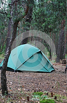 Tent on the forest