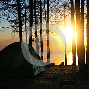 Tent in the Forest