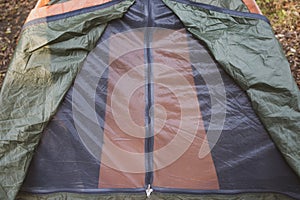 Tent in the forest. Tranquil camping on a hike