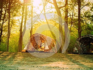 Tent in forest trekking camp