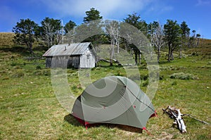 Tent on green grass by old wooden house and small forest on hill, Summer vacation, Camping at Refugio El Caulle photo