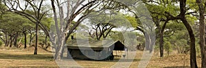 Tent in landscape, Tanzania, Africa