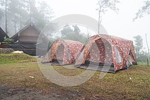 Tent on the lawn.