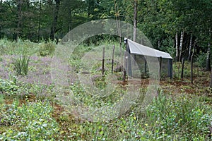 A tent-like Malaise trap installed in a nature reserve to for trapping, killing, and preserving flying insects
