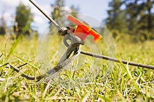 Tent peg and rope