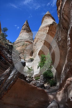 Tent Rock Hoodoos