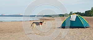 Tent on a sandy beach near water