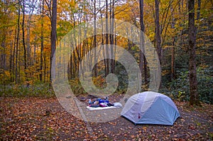Tent set up at a primitive campground amoung vibrant autumn colors in the Blue Ridge Mountains