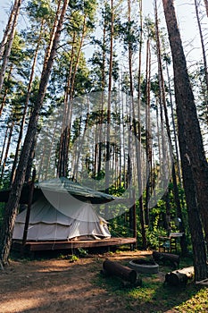 Tent among tall trees, sleeping in the forest, glamping