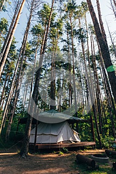 Tent among tall trees, sleeping in the forest, glamping