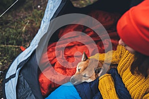 In tent tourist girl hug resting dog together in campsite, close up portrait red shiba inu leisure in camp, hiker woman with puppy