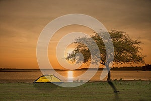 Tent and tree in green field besides the lake