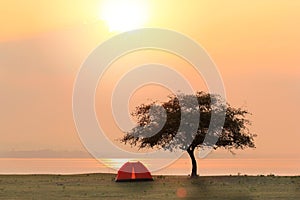 Tent and tree in green field besides the lake with sunset or sunrise