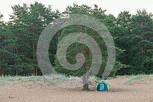 Tent under a tree on a sandy beach