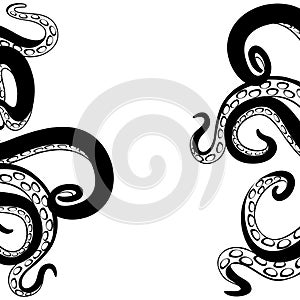 Black octopus tentacles.