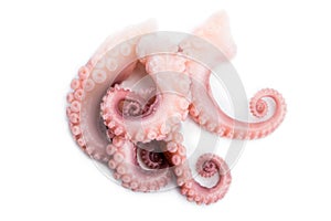 Tentacles of octopus isolated on white background