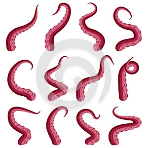 Tentacles octopus set underwater animal. Kraken or Squid red tentacle cut part isolated on white. Vector illustration photo