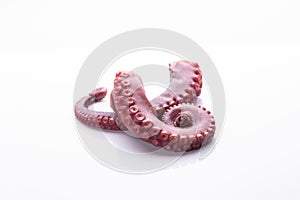 Tentacles of stew octopus isolated on white background