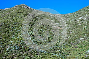 Tento mountains