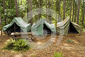 Tents At Boy Scout Camp