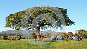 Tents and campers at simba camp on Ngorongoro