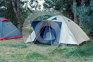 Campground in the forest