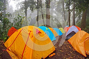 Tents in camping site