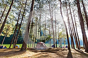 Tents in camping site near lake