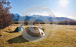 Tents at a campsite in Iceland in the early morning before climbing to the glacier Vatnajokull