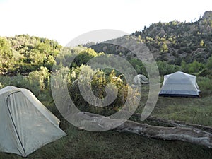 Tents at a Campsite in an Outback forest.