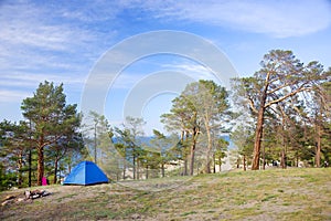 Tents in a pine forest on the shore of Baikal Lake. Hot weather and bright sunny day. Olkhon Island, Russia.