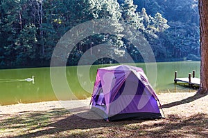 Tents of traveler in camping site near lake