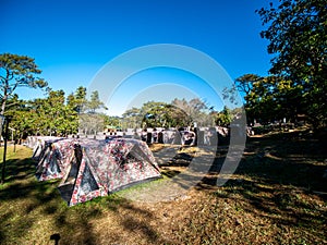 The Tents were Spread out in a Row