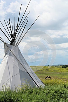 Tepee or Tipi with horses in the background on a Montana plain with blue sky
