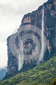 Tepui table mountain Auyan photo