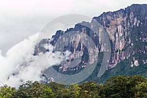 Tepui table mountain Auyan photo